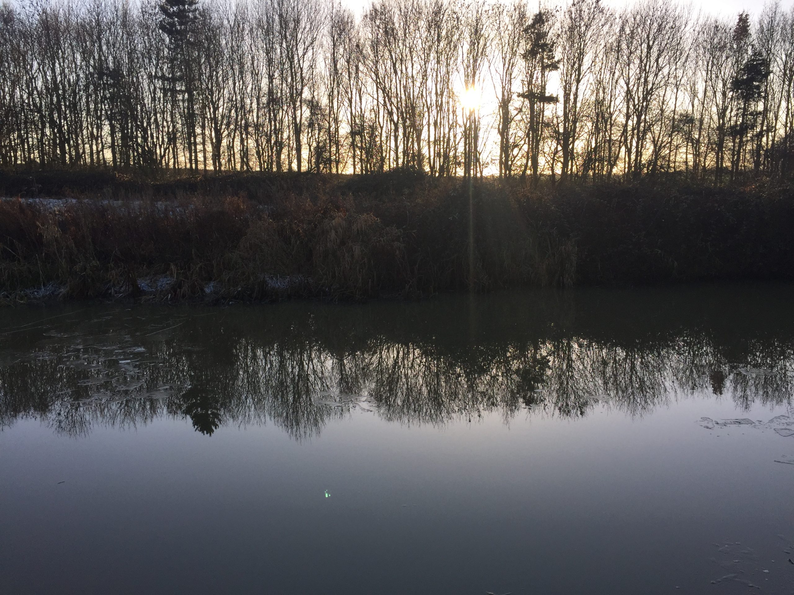 Winter afternoon on a canal