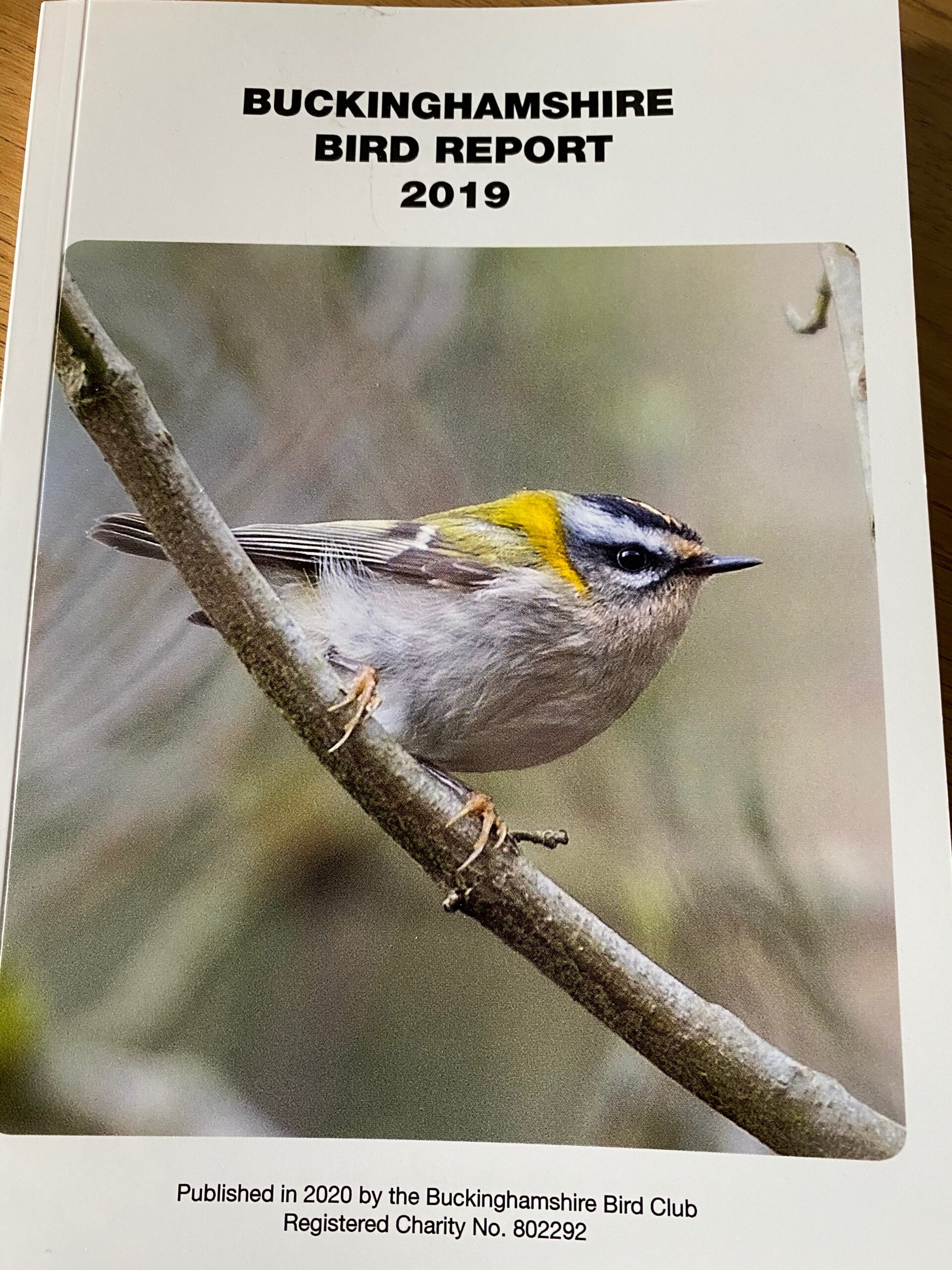Bucks bird club annual report 2019 cover